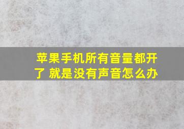 苹果手机所有音量都开了 就是没有声音怎么办